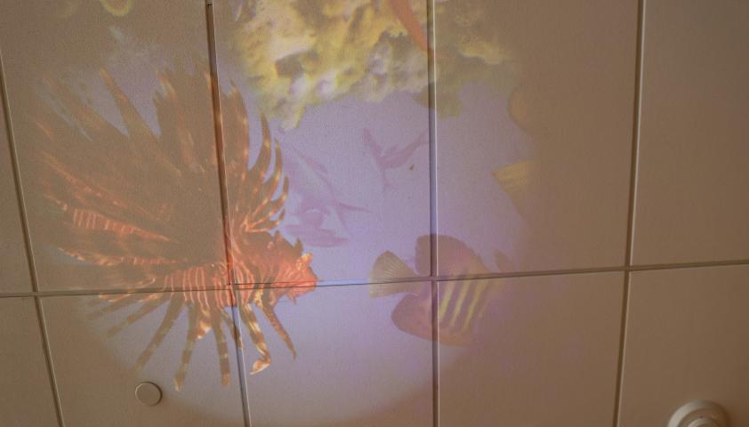 Projections on the ceiling from the cart. 
