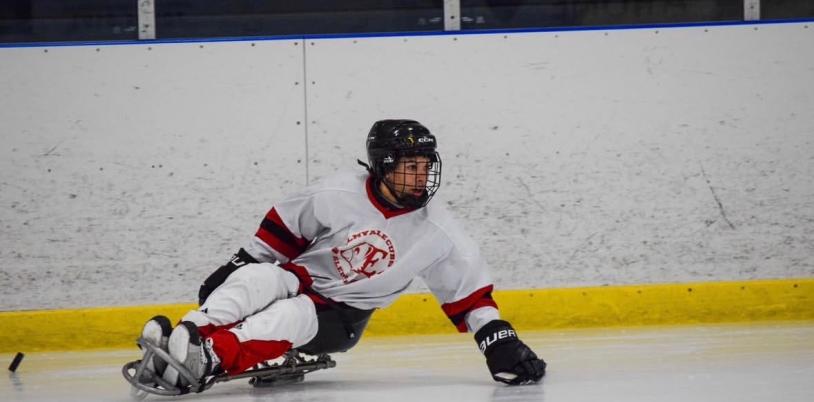 A young boy plays sledge hockey.