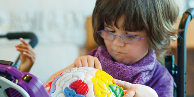 Little  girl playing with a model brain
