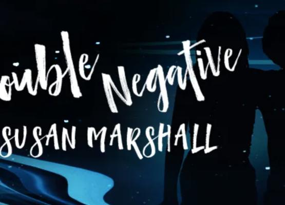 Book cover for Double Negative