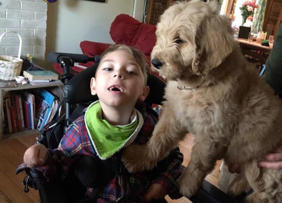 How one family's dream of a service dog came true