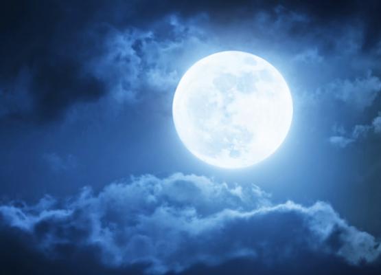 Know the Night is about a mother's isolation