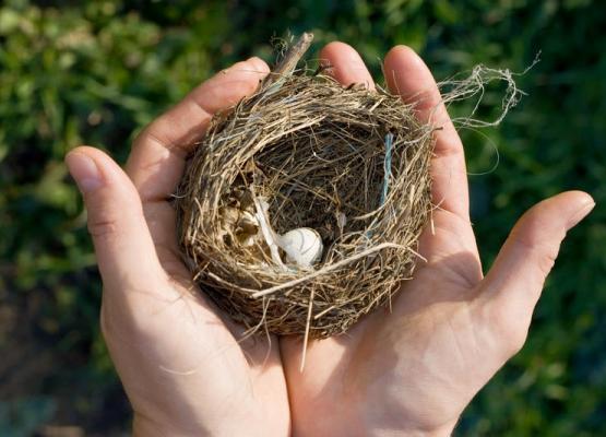 For some parents, the 'empty nest' is a fiction