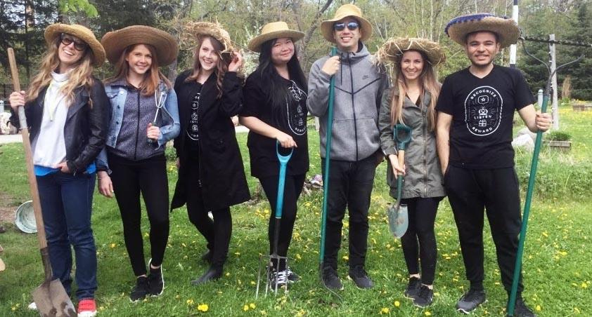 Group of corporate volunteers gardening