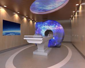 Rendering of the MRI