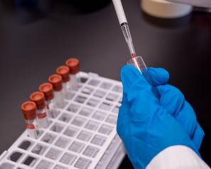 Picture of scientist's hand holding a test tube in a lab