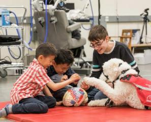 Three children looking at a model of a brain. A service dog's paw is also touching the brain.