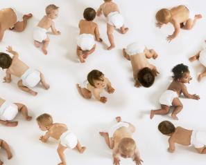 Babies in diapers on the floor crawling around