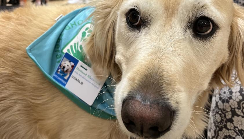 Charlie the therapy dog. 