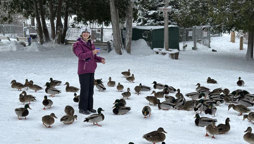 A child standing outside in the snow, surrounded by ducks.