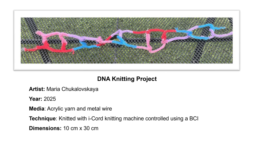 A model of a DNA molecule knitted by Maria Chukalovskaya in 2025. It is 10 cm by 30 cm.  It was created using pink, purple, blue, and red yarn with metal wire. It was knitted using an adapted knitting machine controlled by a BCI. 