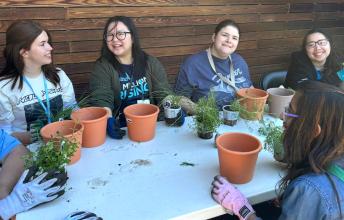 Four adults doing planting