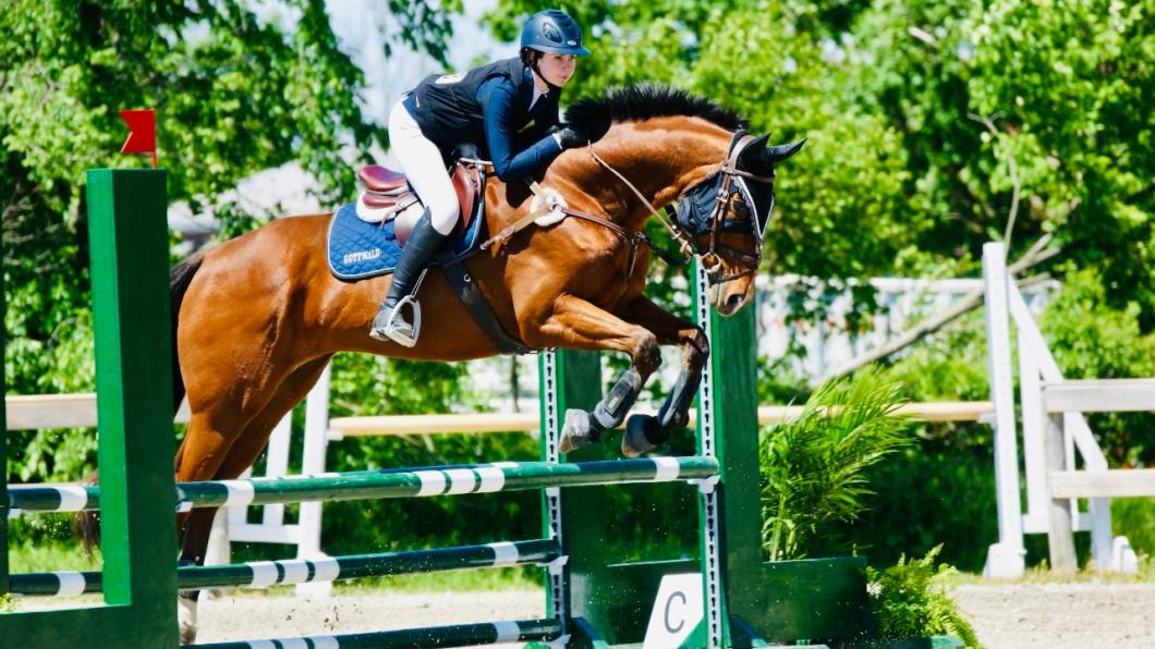 Teen girl on bay horse jumps over green and white jump