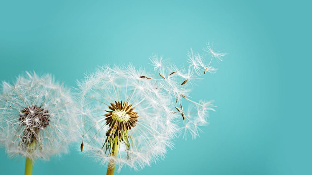 What I wish I knew about disability