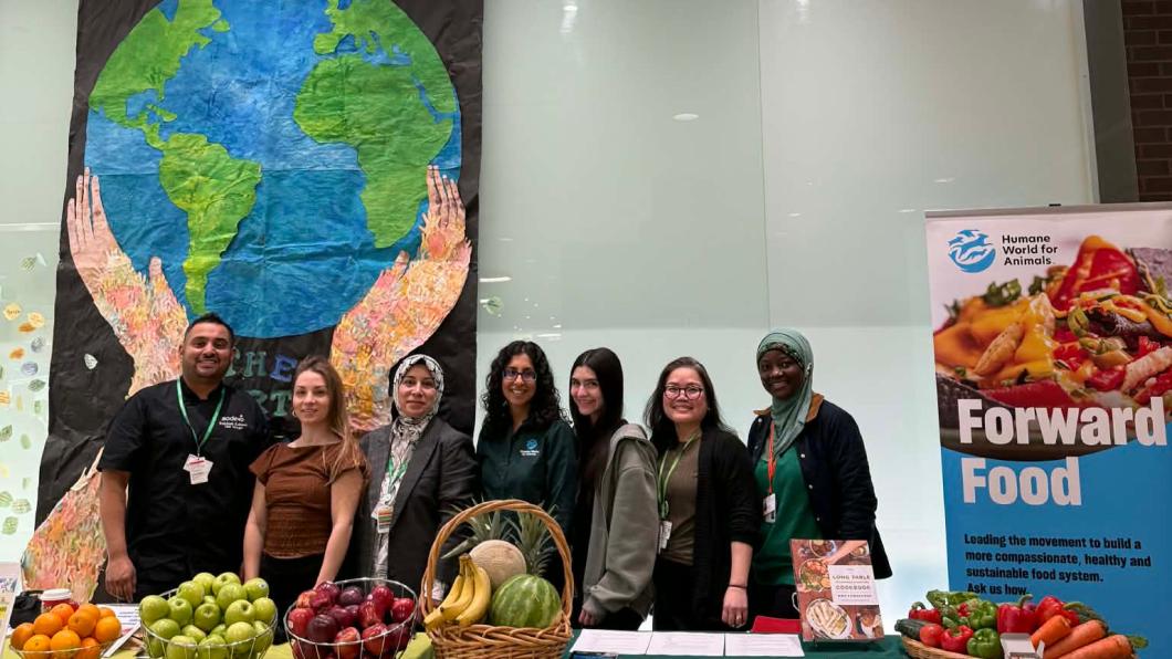 Photograph of seven people standing behind two tables displaying fresh fruits and vegetables at a Humane World for Animals event promoting sustainable, healthy, plant-based food systems. Tables feature green and yellow tablecloths, baskets of apples, bananas, and carrots, with a large poster and a backdrop of a painted Earth held by hands.