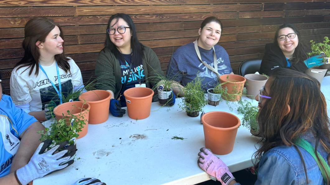 Four adults doing planting