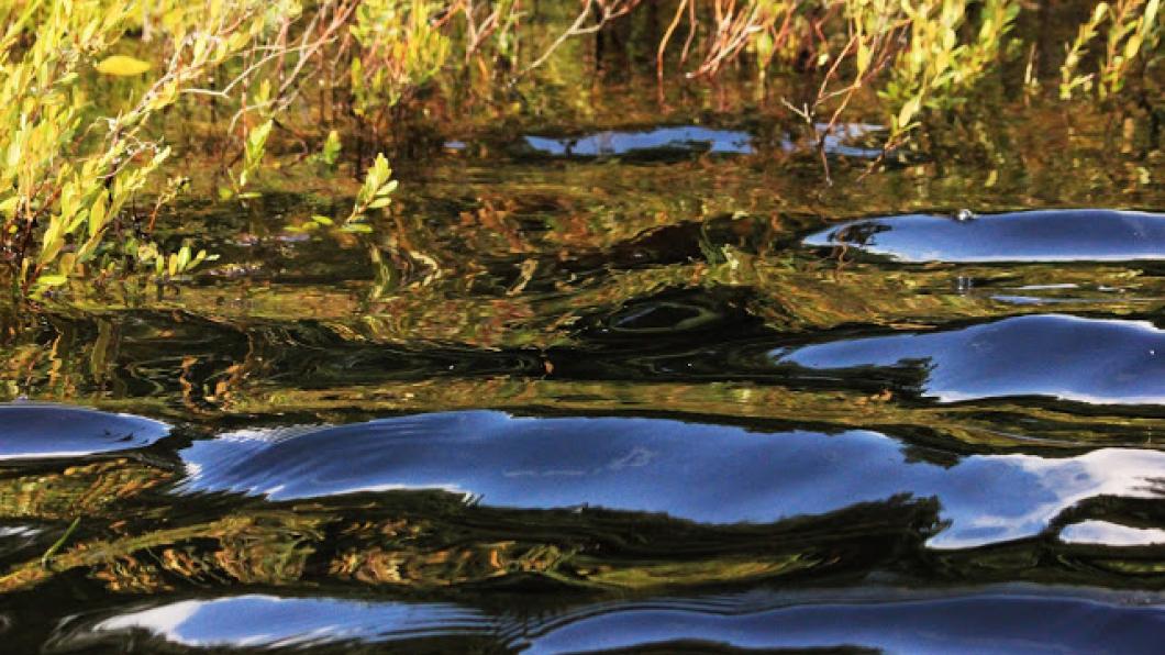 Calm lake water