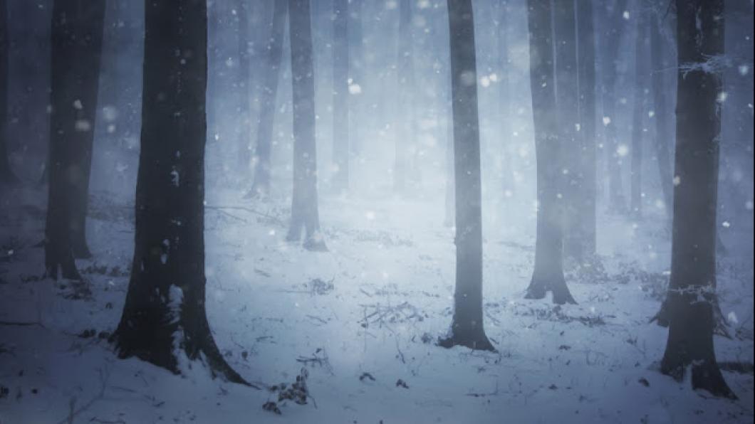 'We are hungry for neat, tidy stories.' Grief 'is much more messy'