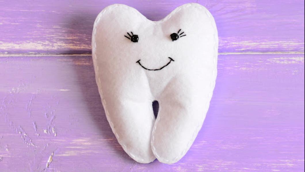 Today we met a real, live tooth fairy